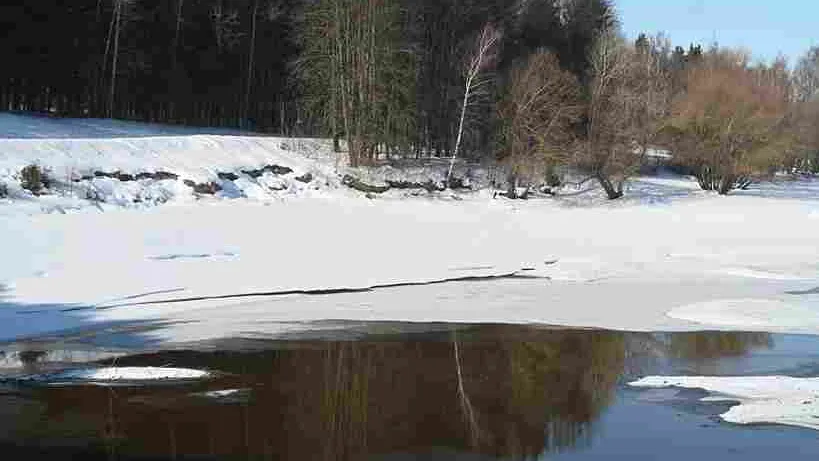 фото - Н. Надточая