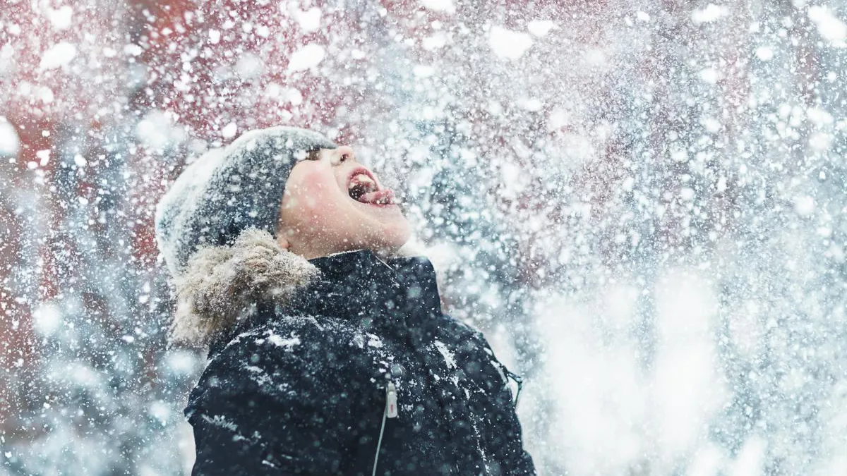 Фото: forum.pushkino.org.