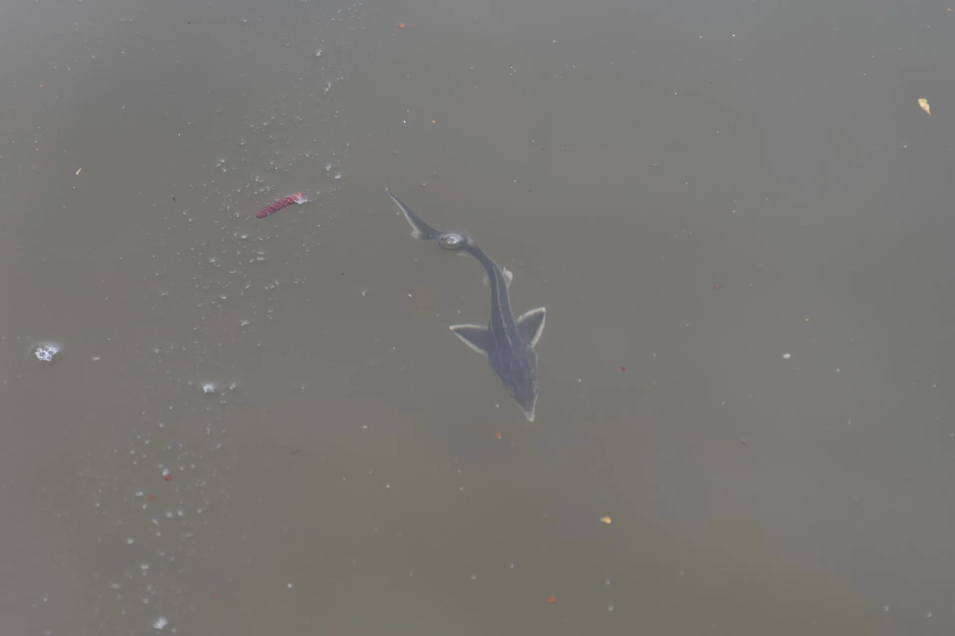 Фото: Евгений Мазепов