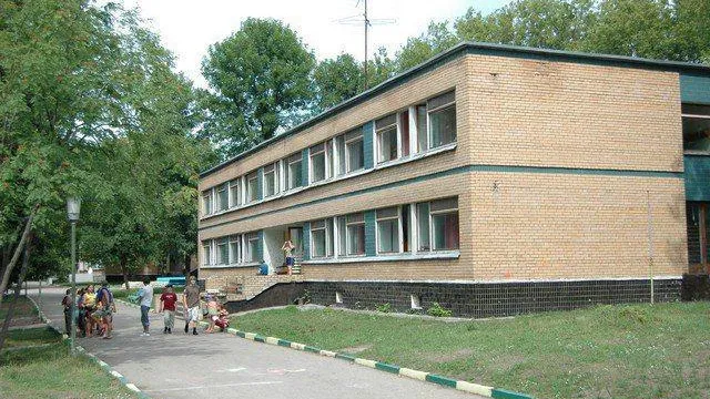 В Лужках закрылся детский лагерь «Зеленый шум», где летом убило ребенка деревом