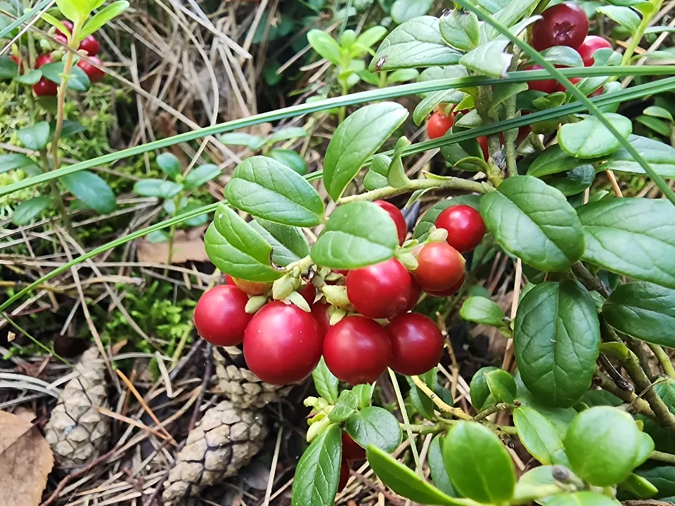 Фото: личный архив Михаила Мартыненко