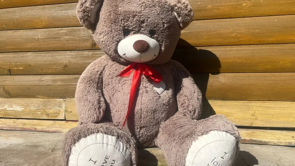 Фото: REGIONS/Дарья Орнадская