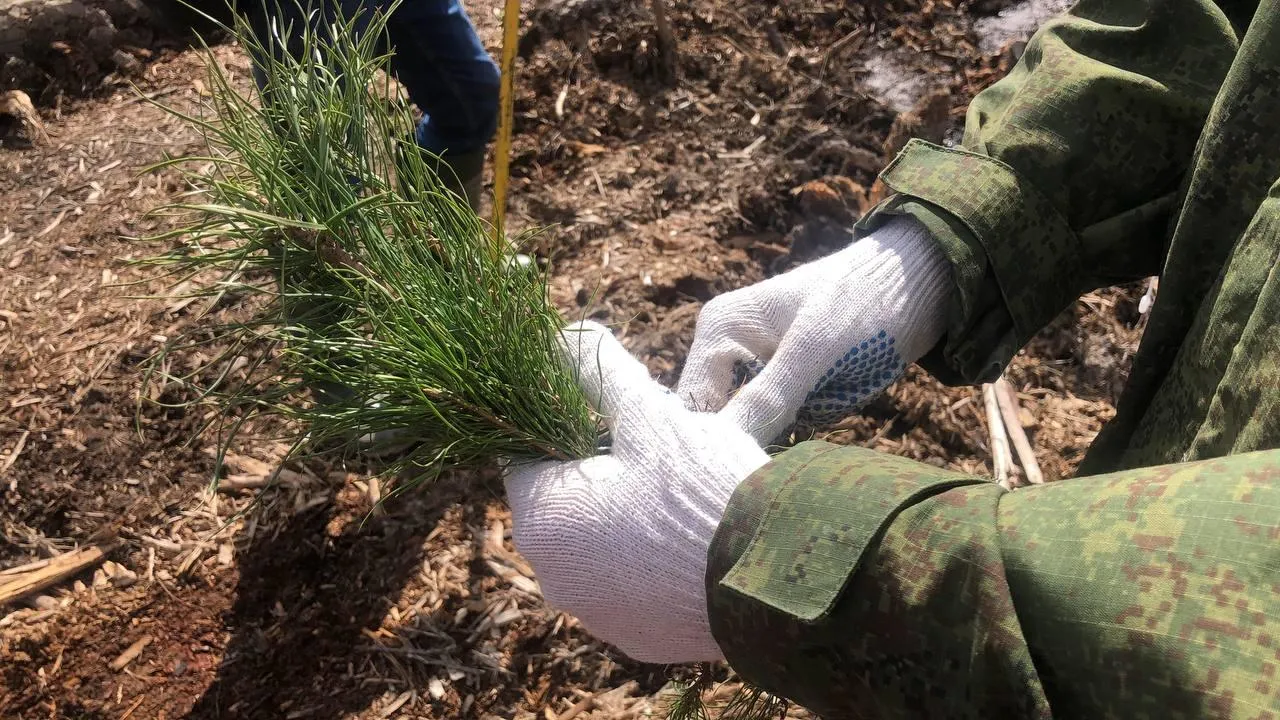 Комитет лесного хозяйства Московской области