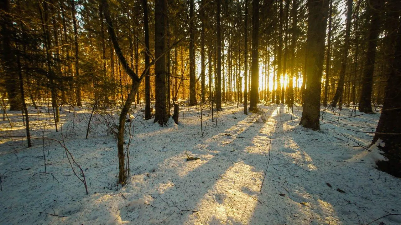 REGIONS/Владимир Ерастов