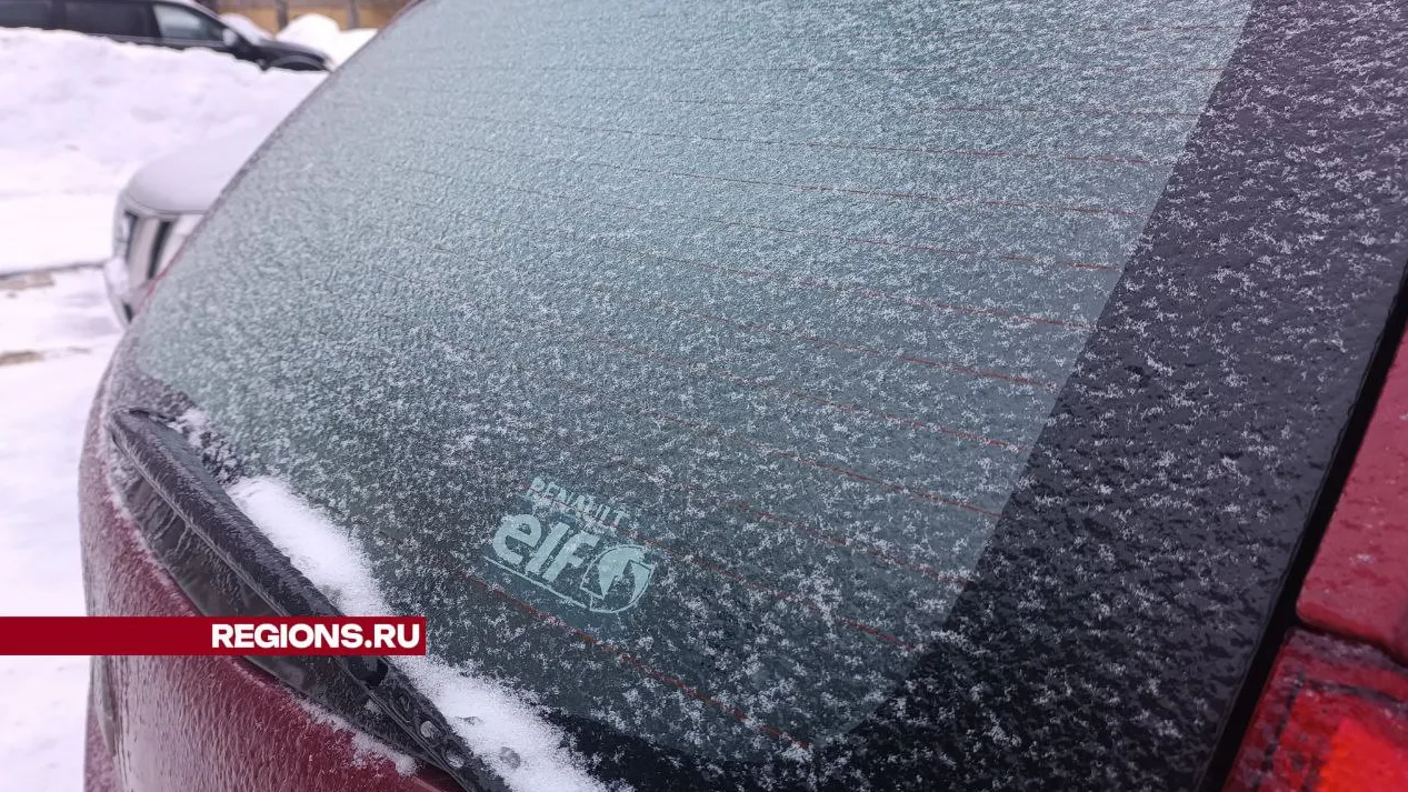 Фото: Татьяна Синельникова