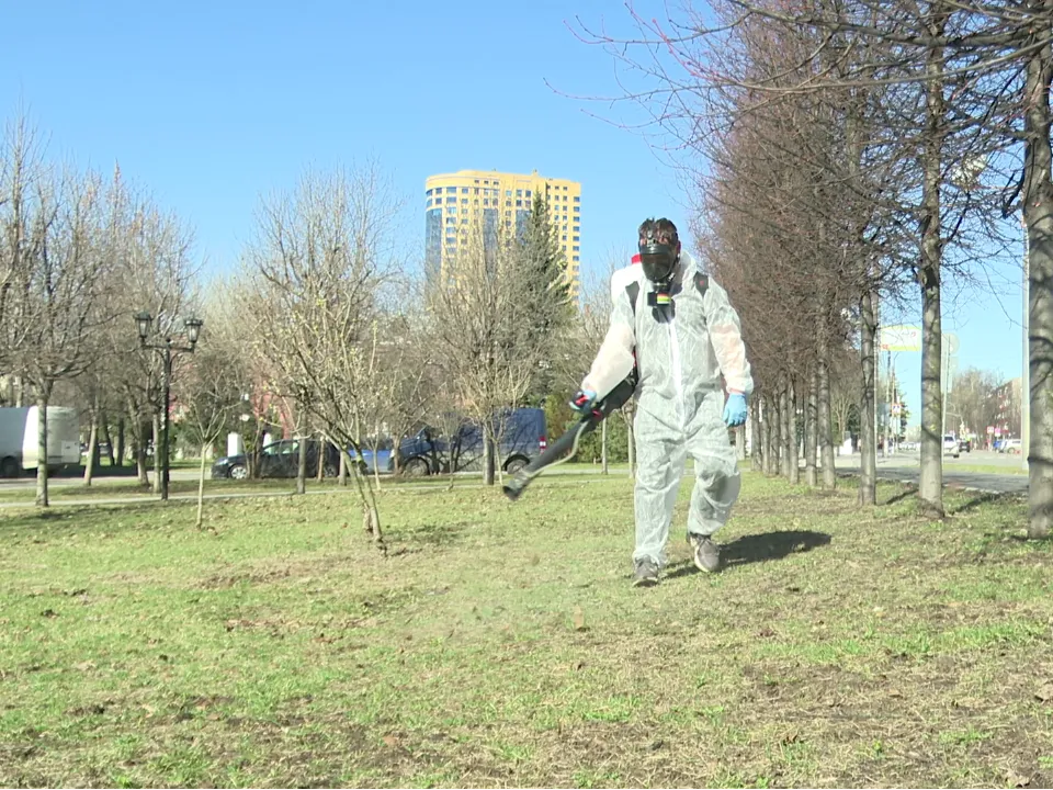 Фото: МедиаБанк Подмосковья / Ксения Казакова