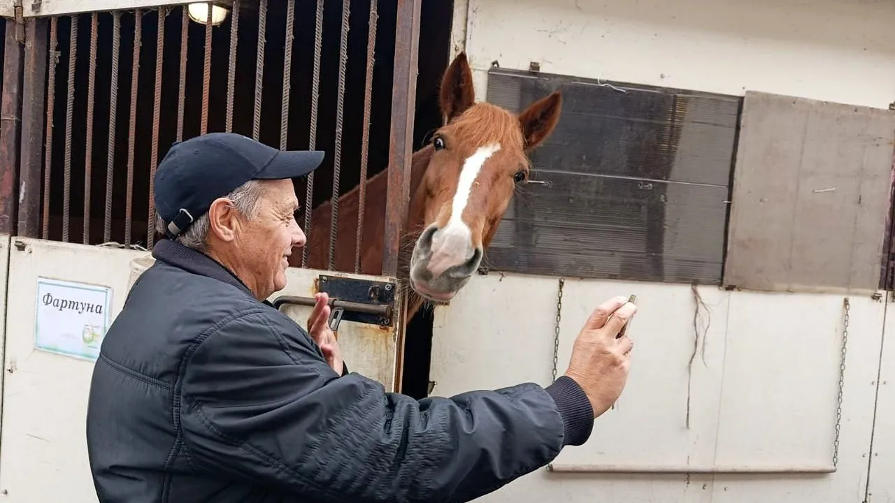 Фото: t.me/shorBelka