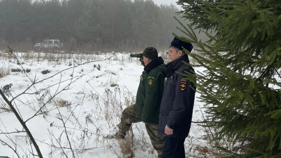 Фото: Комитет лесного хозяйства Московской области