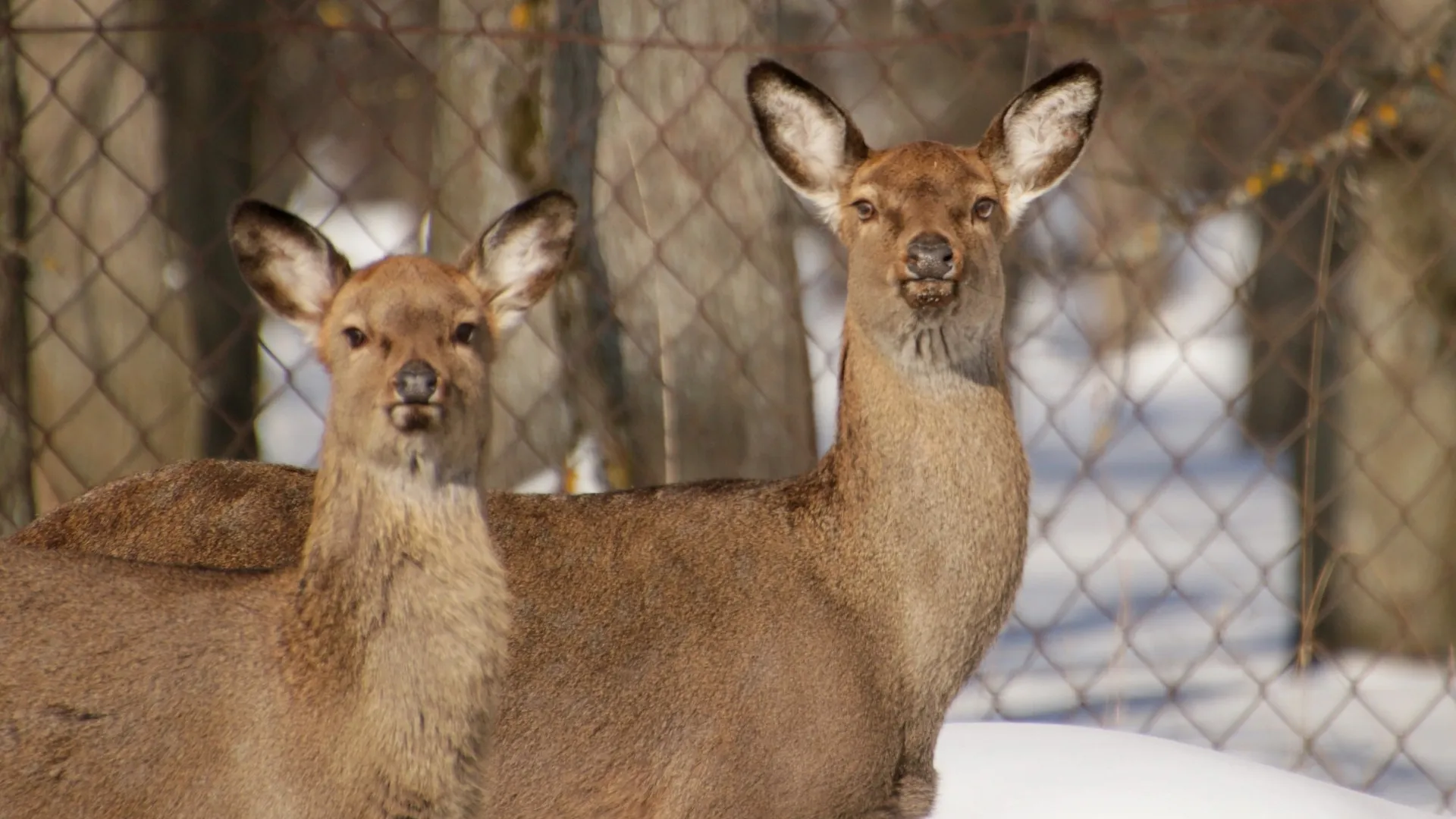 Фото: Ольга Калинина