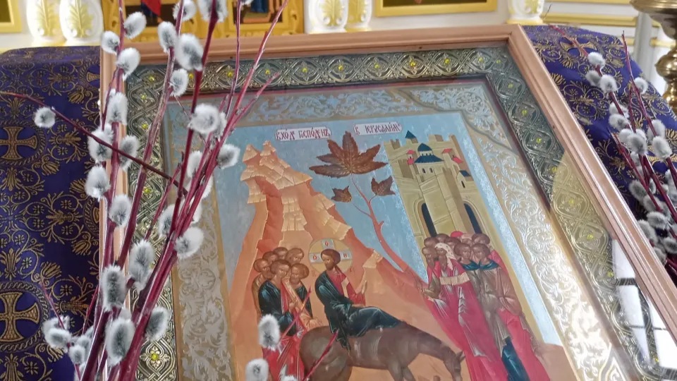 Фото: Медиабанк Подмосковья/Игорь Панов