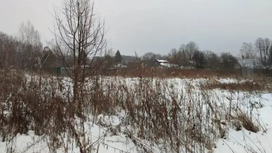 Фото: Комитет по конкурентной политике МО