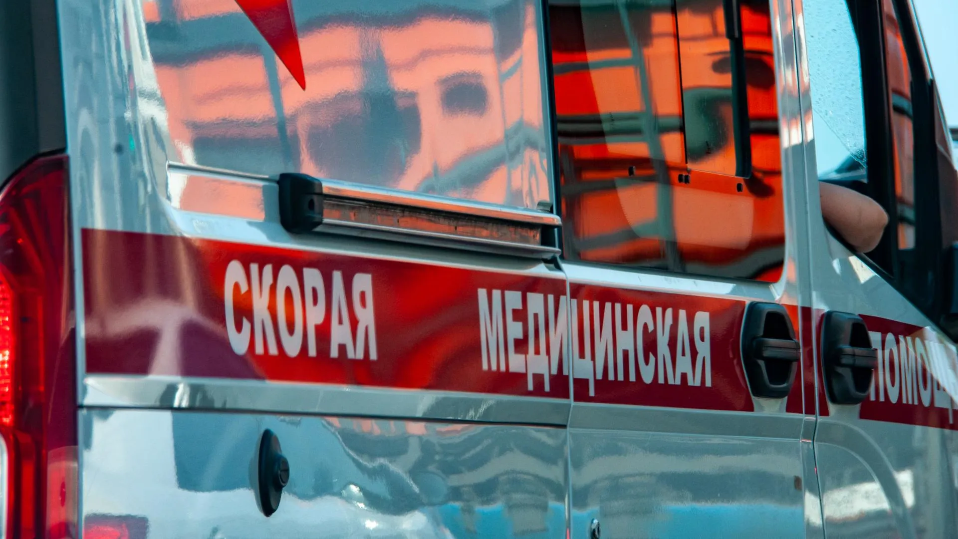 Svetlana Vozmilova/Global Look Press