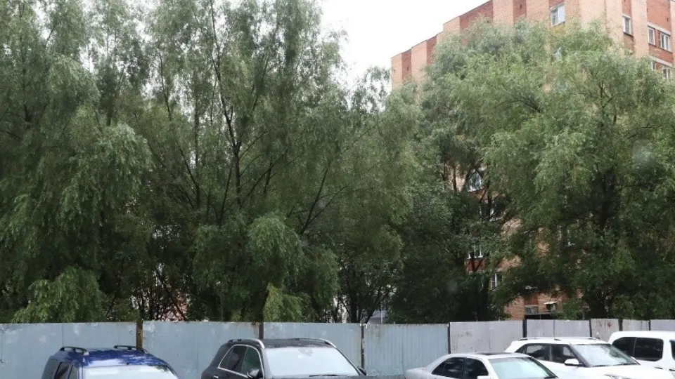 Фото: пресс-служба администрации г.о. Долгопрудный