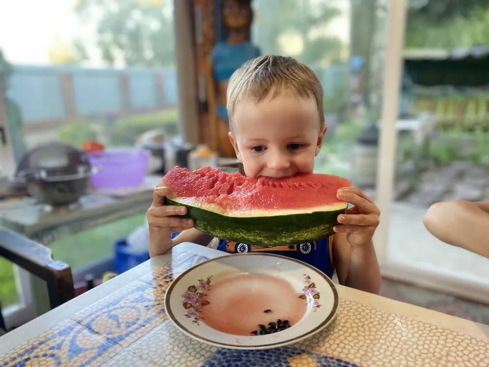 Фото: МедиаБанк Подмосковья/Светлана Плотникова