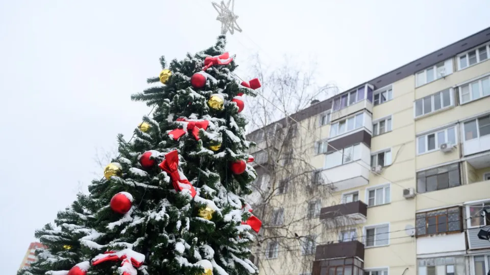 Фото: пресс-служба администрации г.о. Лыткарино