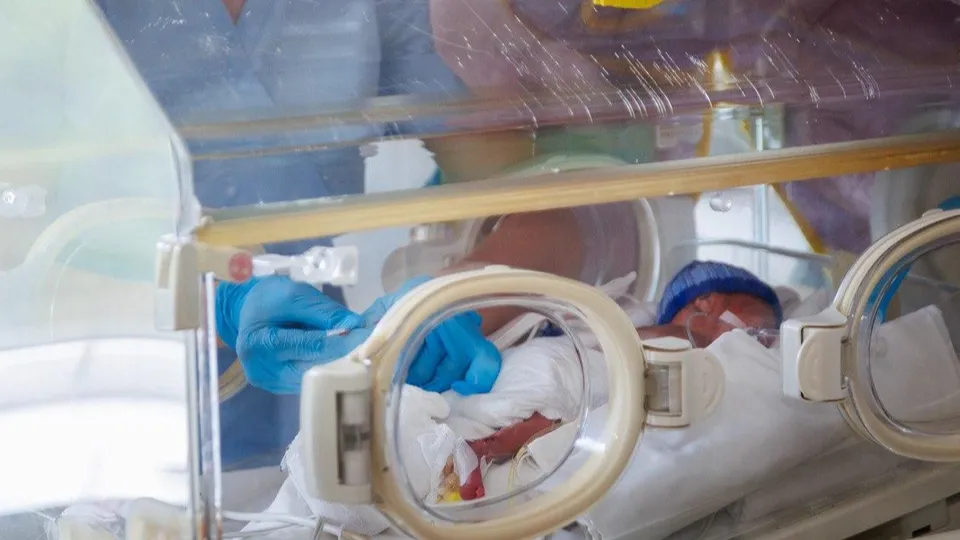 Фото: МОЦОМД