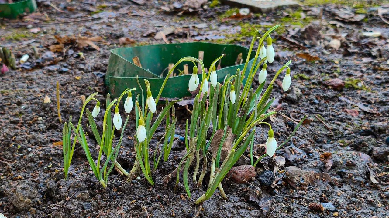 REGIONS/Анастасия Широкая