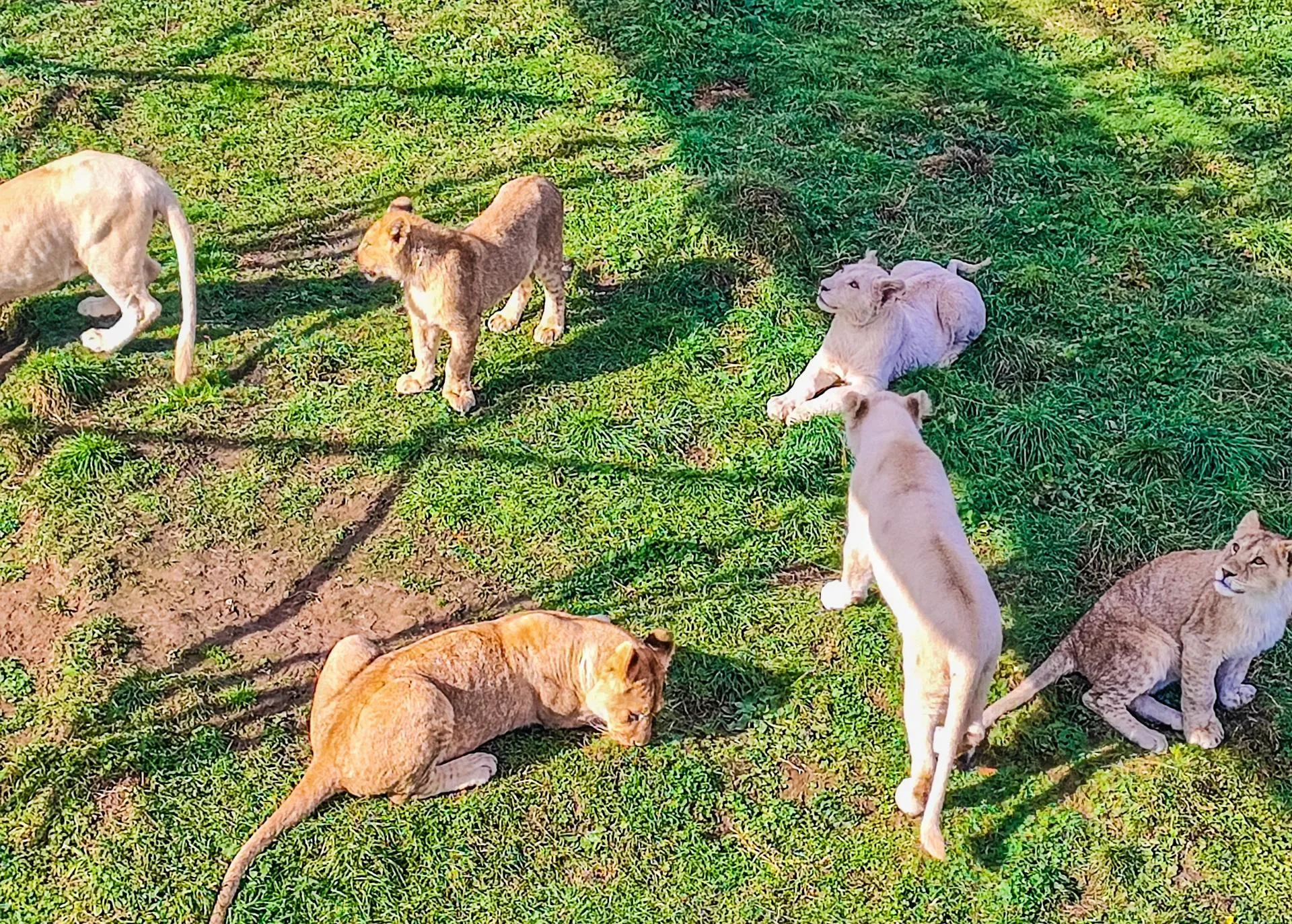 Данила Кирьянов