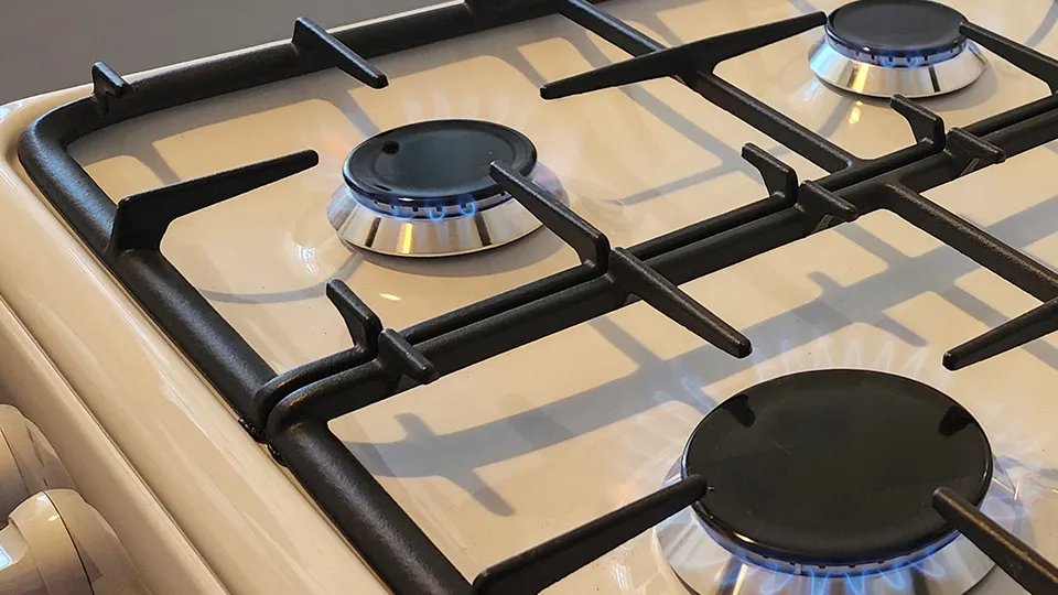 Фото: МедиаБанк Подмосковья/Анастасия Хренкова