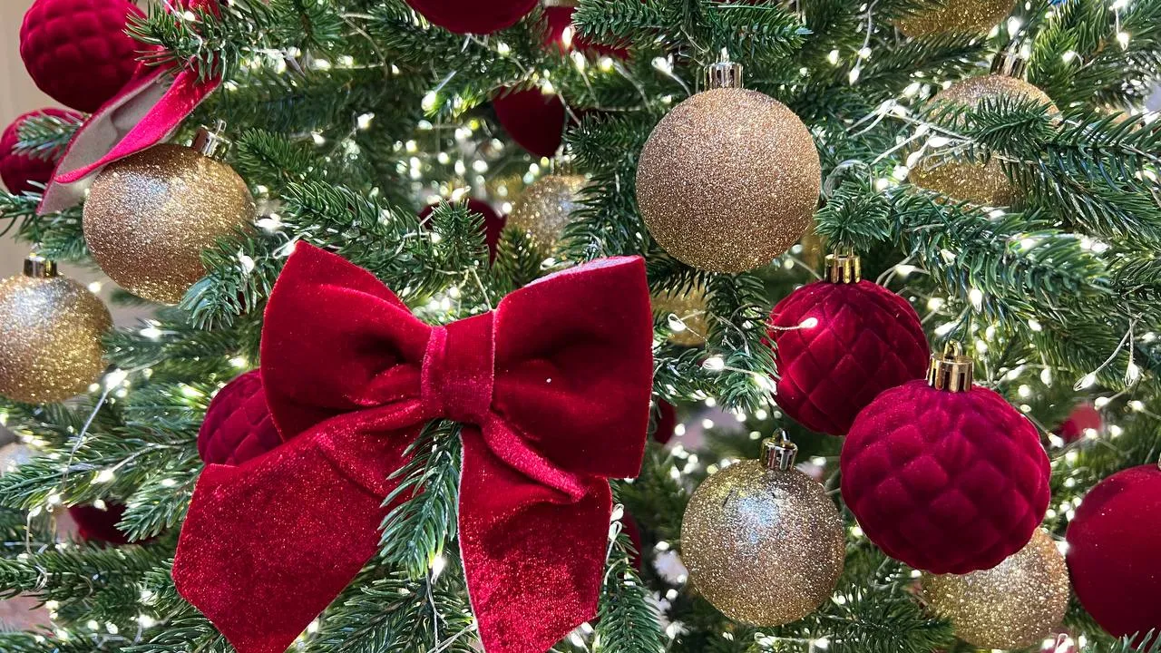 Фото: REGIONS/Елена Фурман