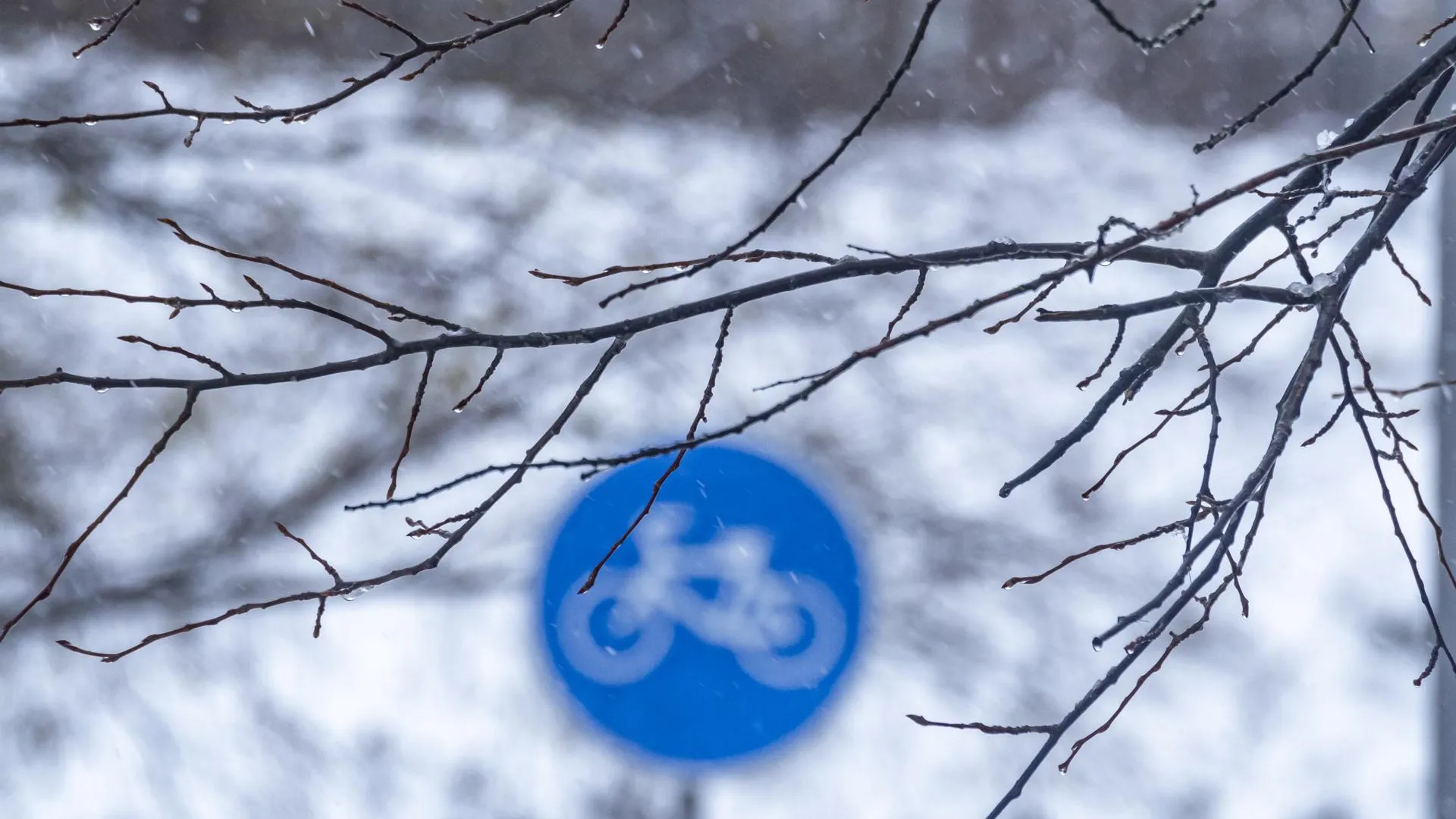 Konstantin Kokoshkin