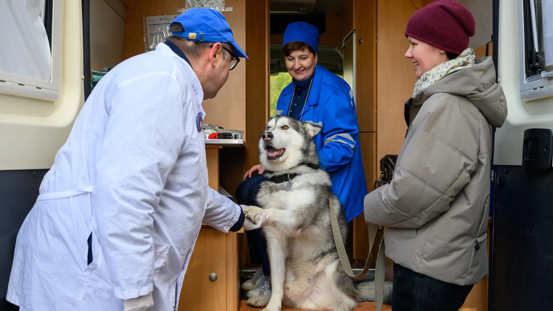 медиасток.рф