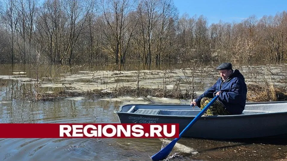Фото: пресс-служба администрации городского округа Луховицы
