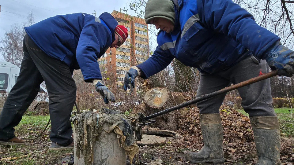 Фото: МедиаБанк Подмосковья/Марина Анисимова