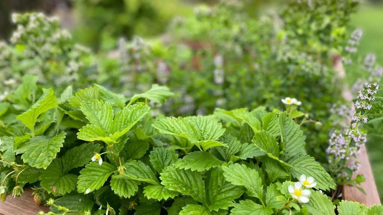 Министерство культуры и туризма МО