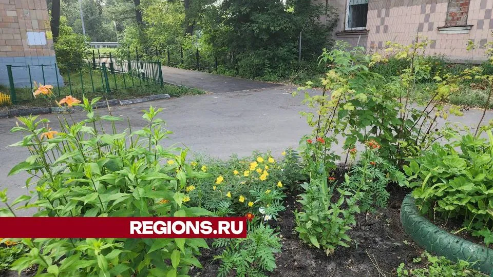 Фото: Ольга Сычева