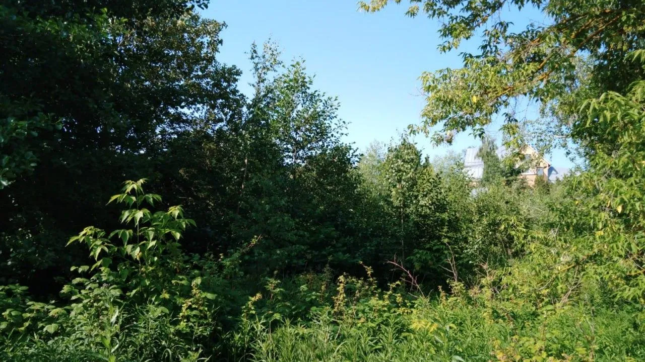 Фото минимущества