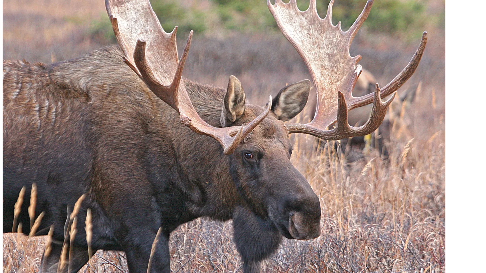 Фото: https://pxhere.com