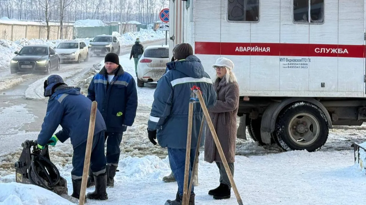 депутат Совета депутатов Ленинского городского округа Юлия Одинцова