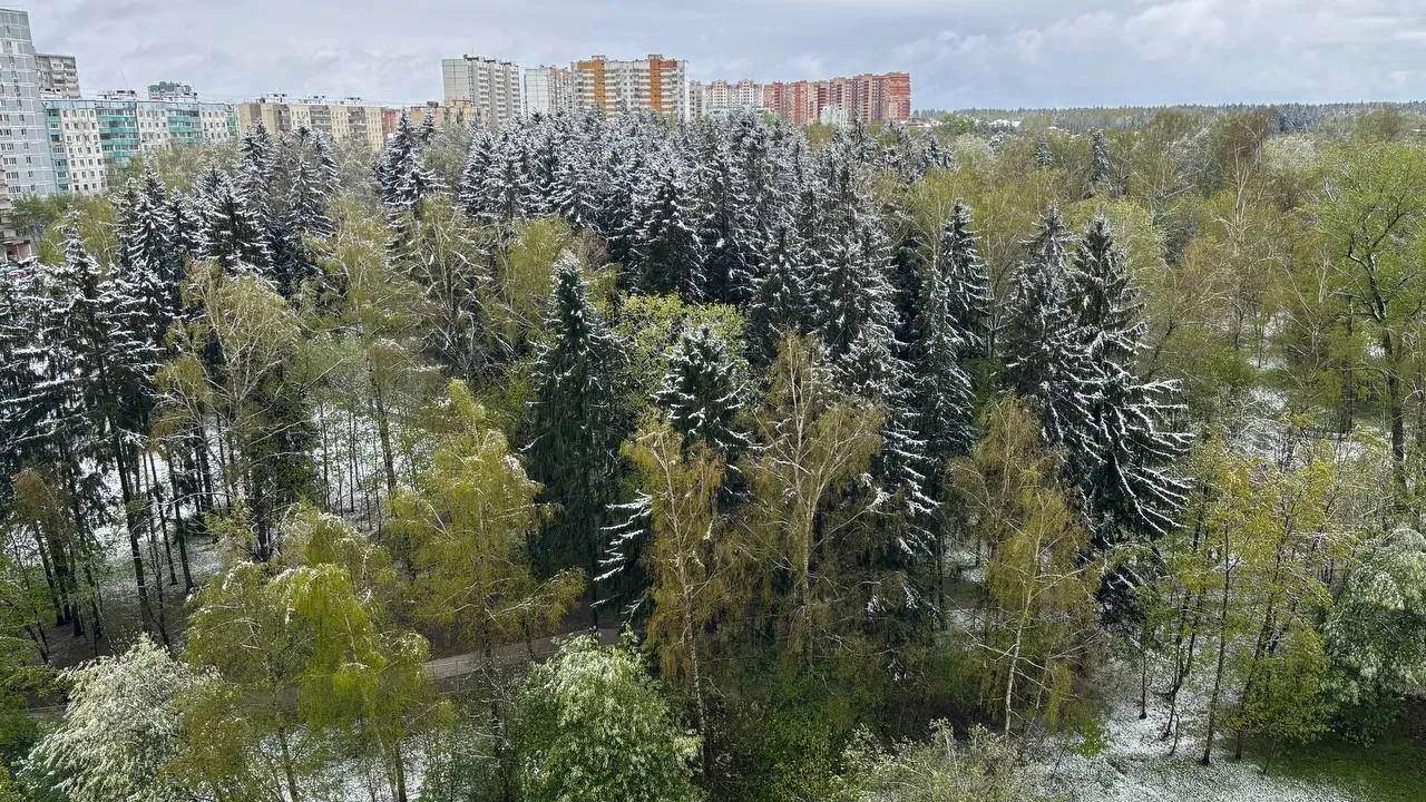 Фото: МБУК «Городской парк культуры и отдыха»