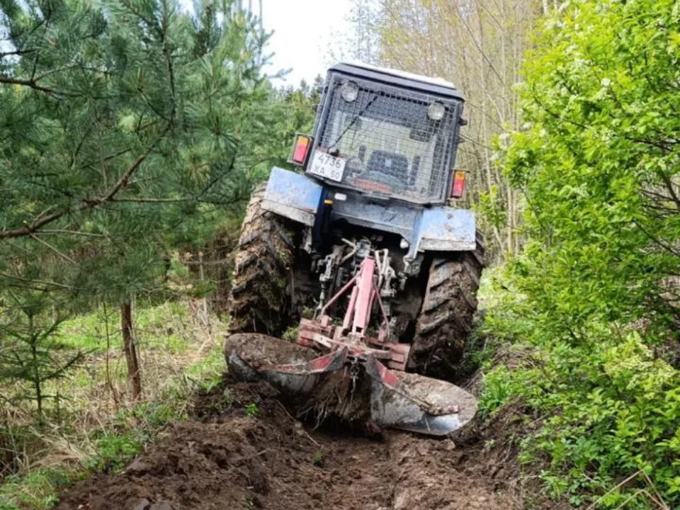 Фото: Комитет лесного хозяйства МО
