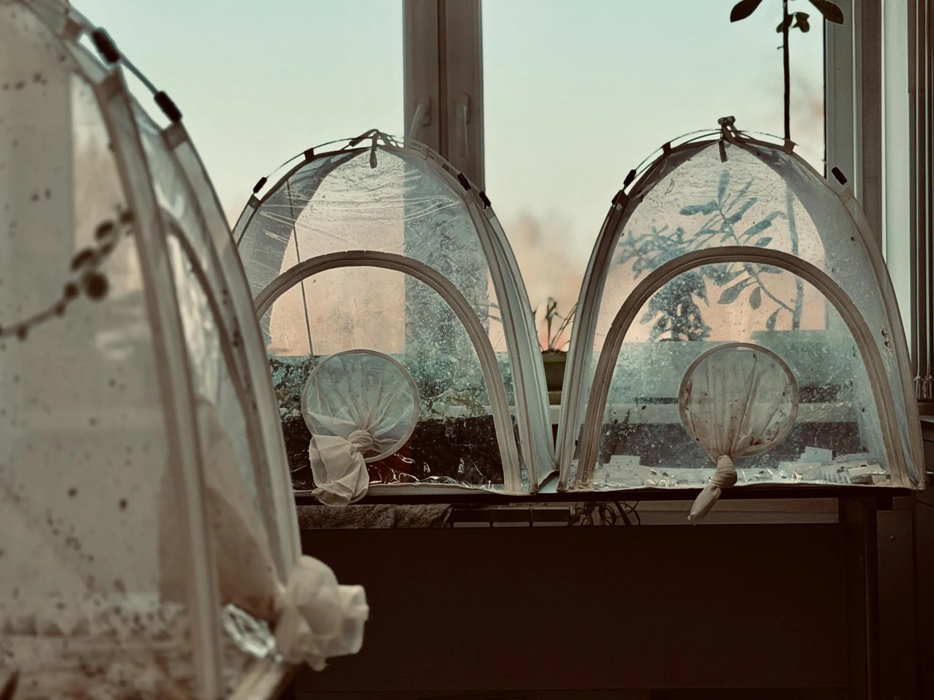 МедиаБанк Подмосковья/Ольга Стаферова