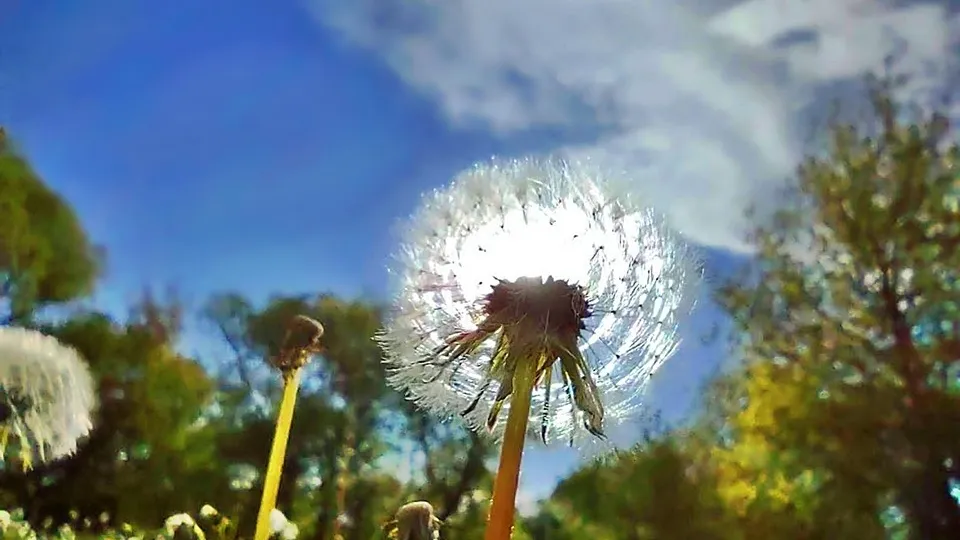 Фото: REGIONS/Алексей Селиверстов