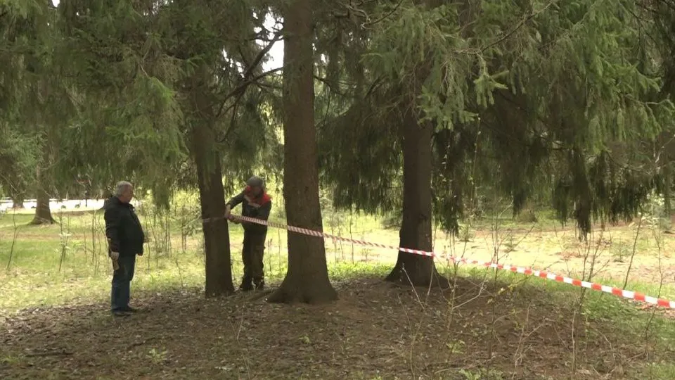 Фото: телеканал «Дубна»