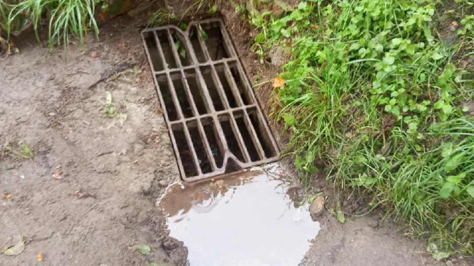 Фото: пресс-служба администрации Волоколамского м.о.