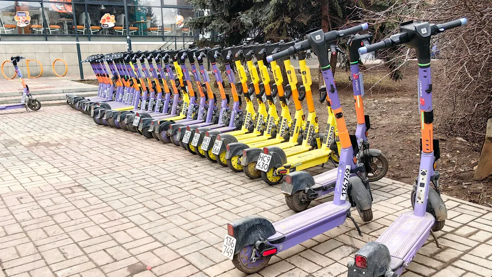 Фото: МедиаБанк Подмосковья/Елена Катасонова