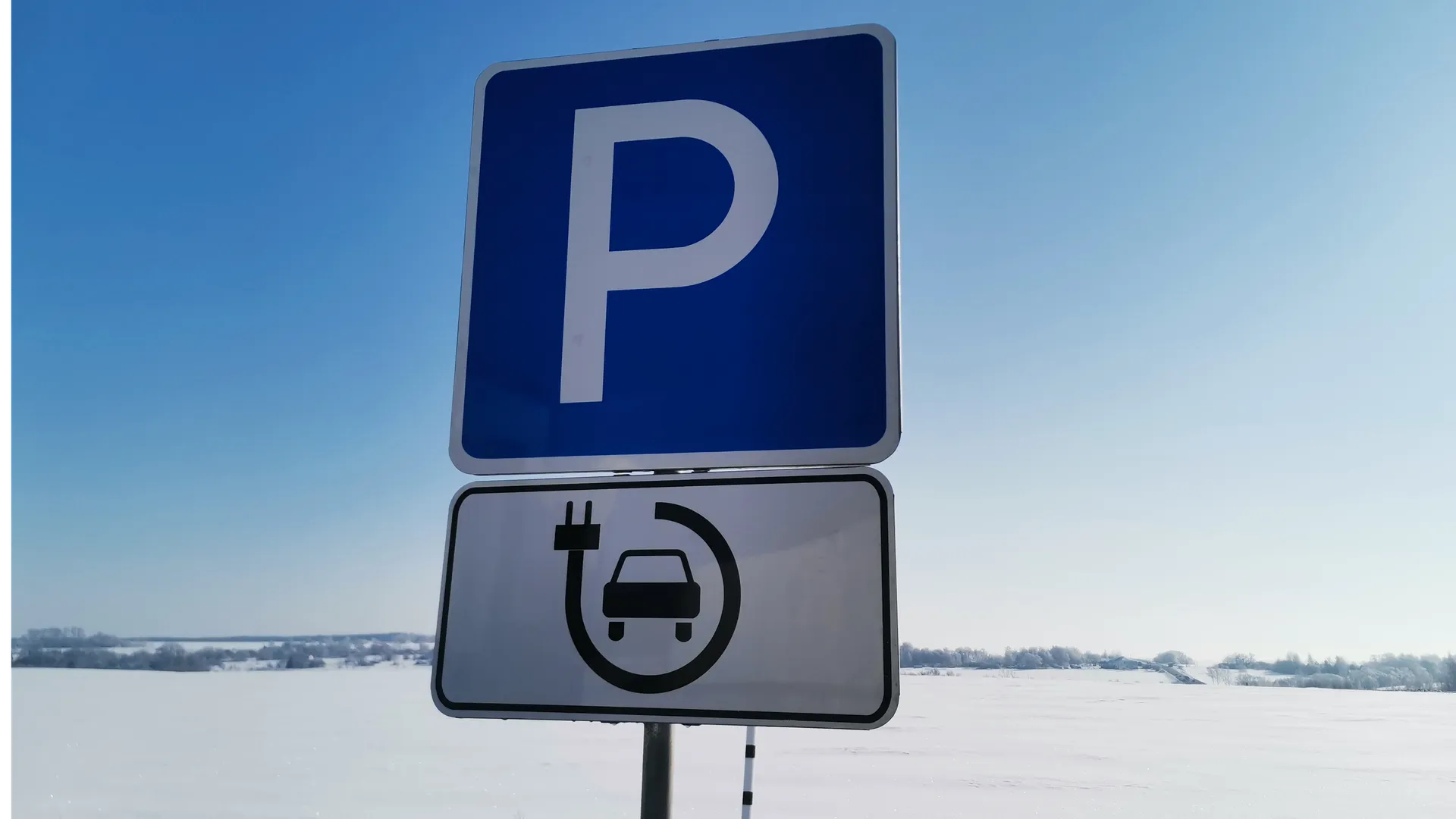 Дарья Кургузова