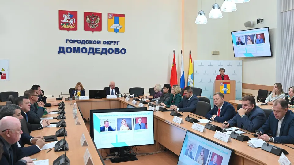 Фото: пресс-служба администрации г. о. Домодедово