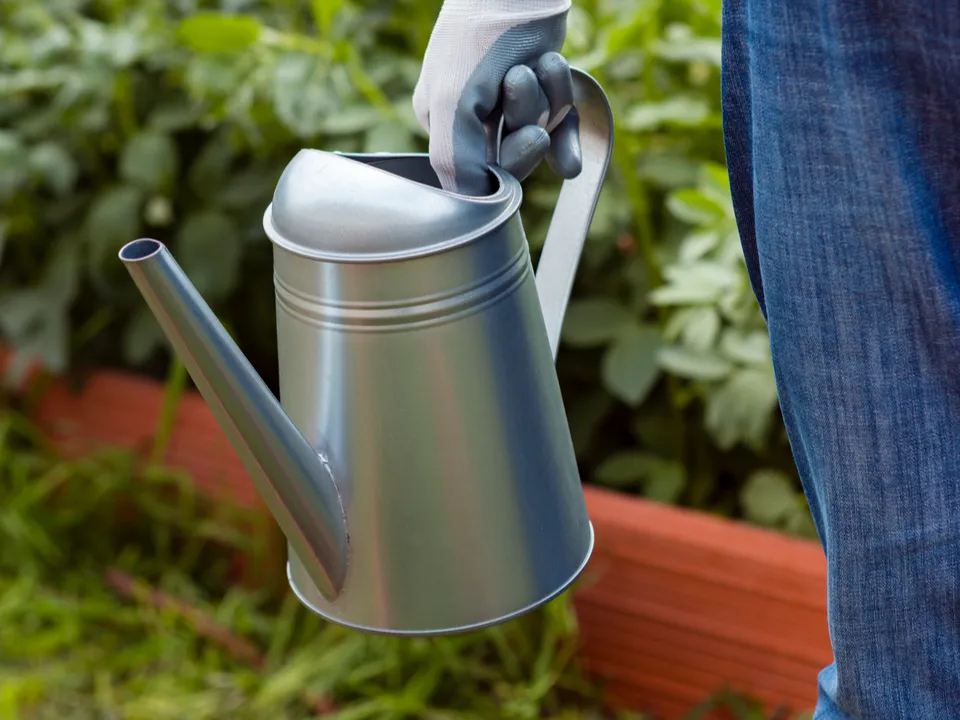 Фото: freepik.com