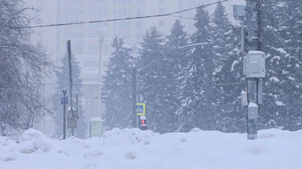 REGIONS/Роман Малышенко