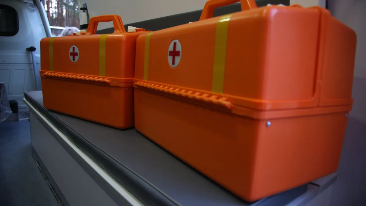 Фото: Медиаархив Подмосковья