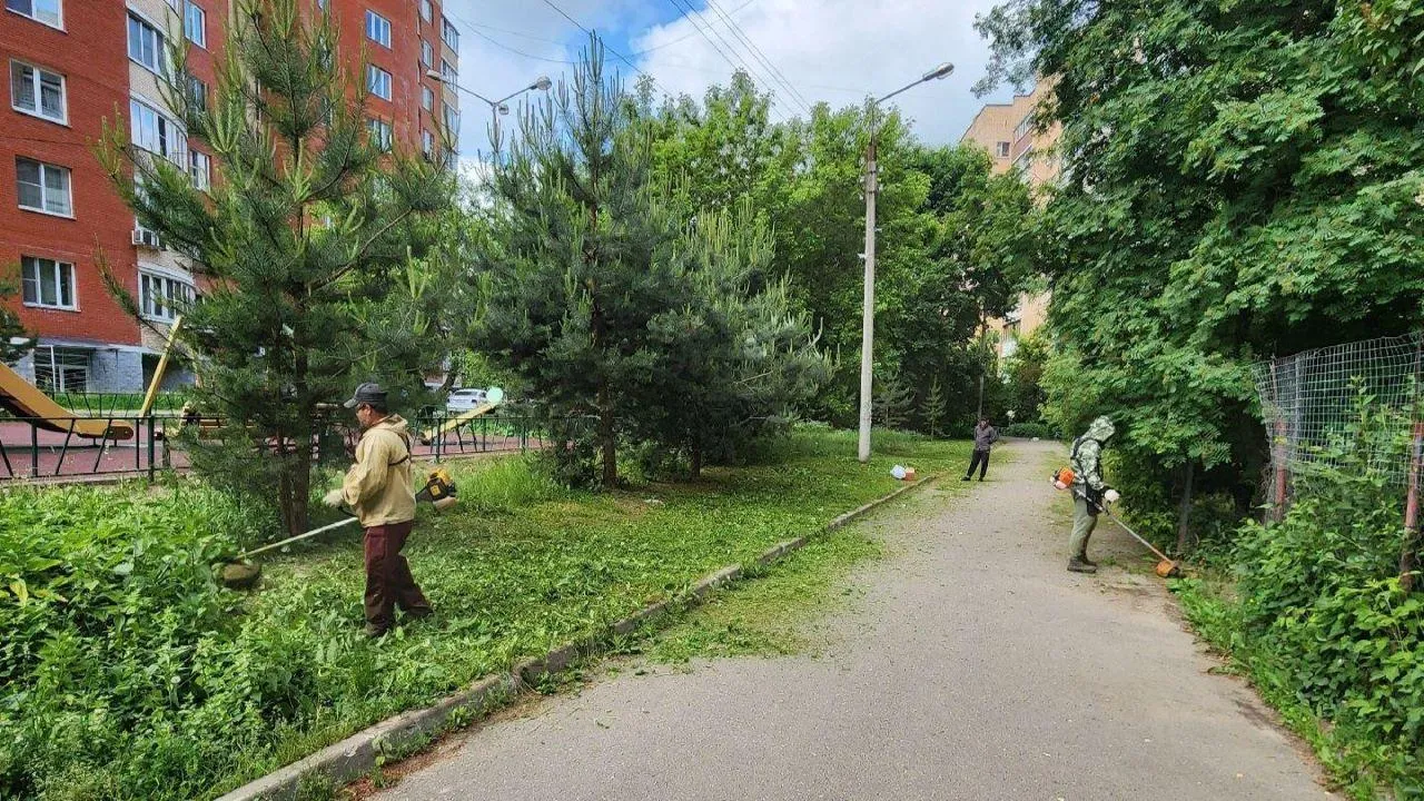 Картинка