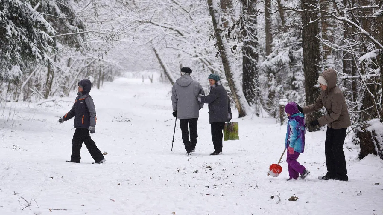 медиасток.рф
