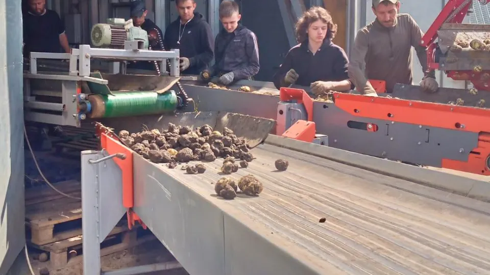 Фото: пресс-служба Министерства сельского хозяйства и продовольствия Московской области