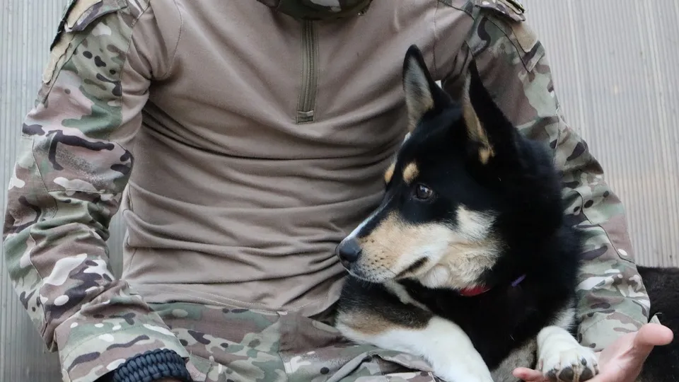 Фото: REGIONS/Ирина Матвеева