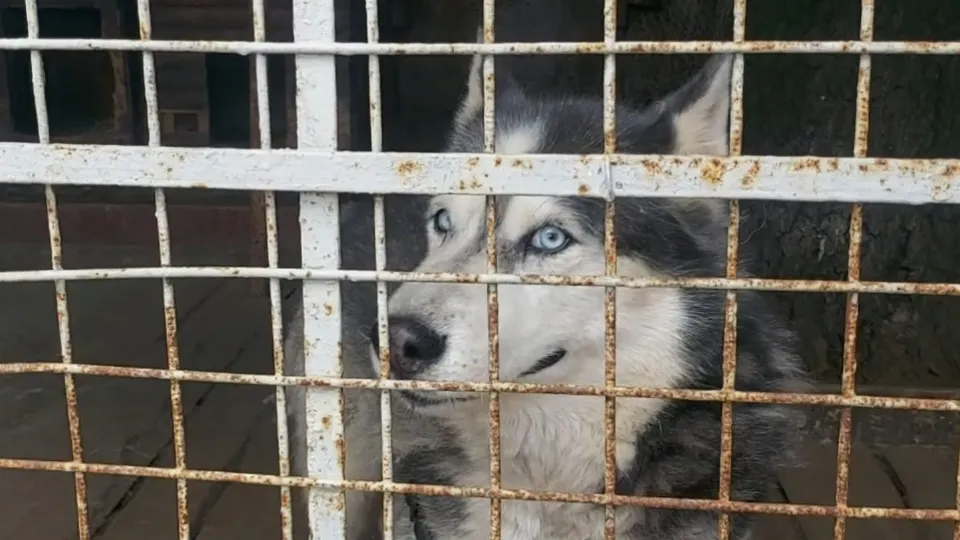 Фото: Иван Чижов